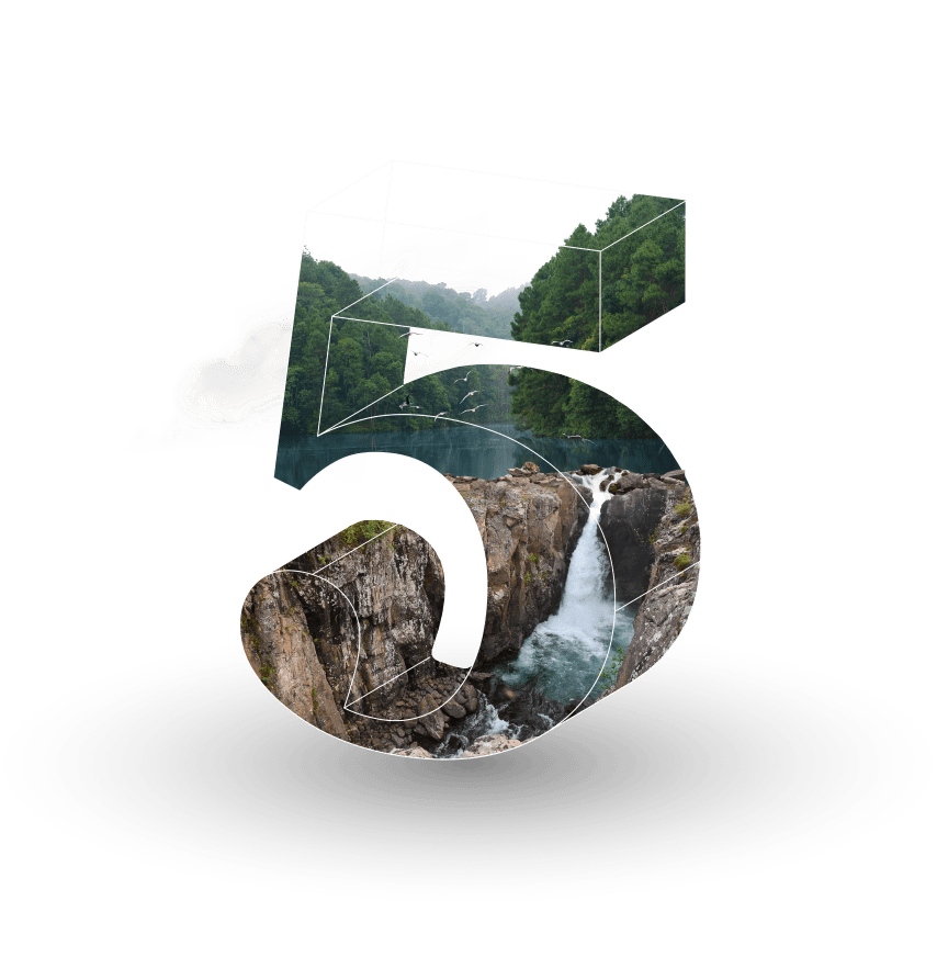 Корпоративное управление