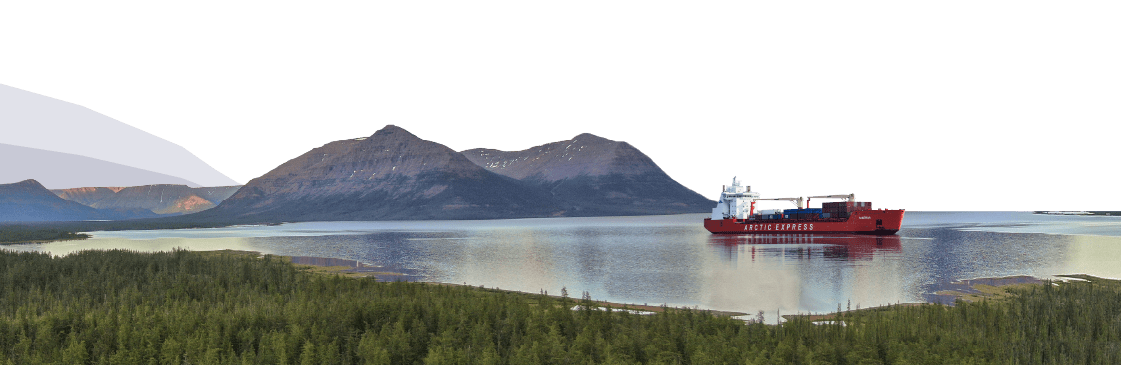 «Норникель» в 2022 году